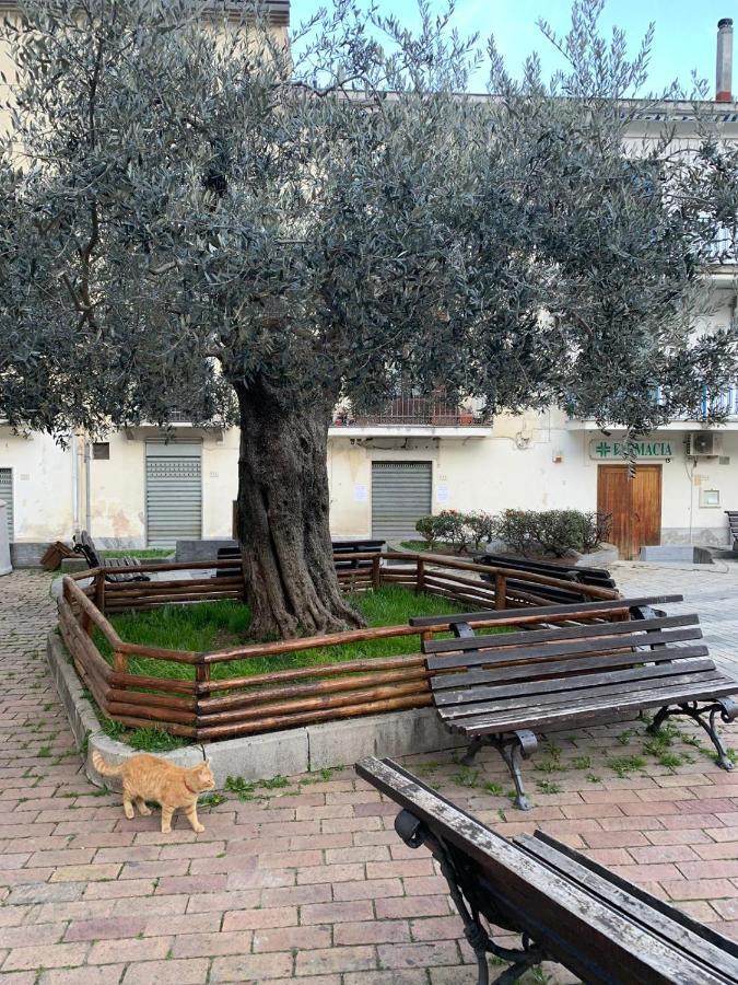 B&B Il Vicoletto Olevano sul Tusciano Buitenkant foto